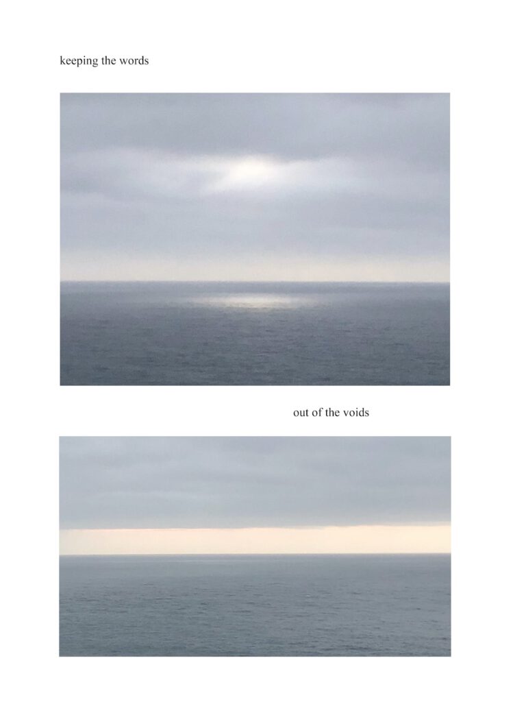 Two grey photographs of the ocean split with the word void.