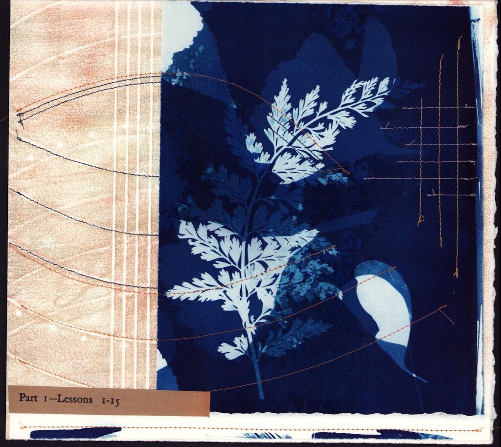 White ferns and leaves silhouetted on dark blue and beige